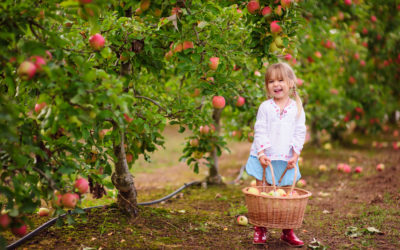 Apple. Tree.